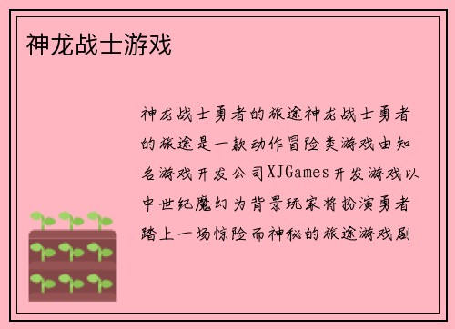 神龙战士游戏